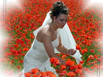 Weddingstyle Nunta Brasov