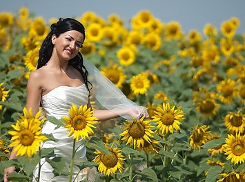 Foto Studio Enigma Nunta Brasov